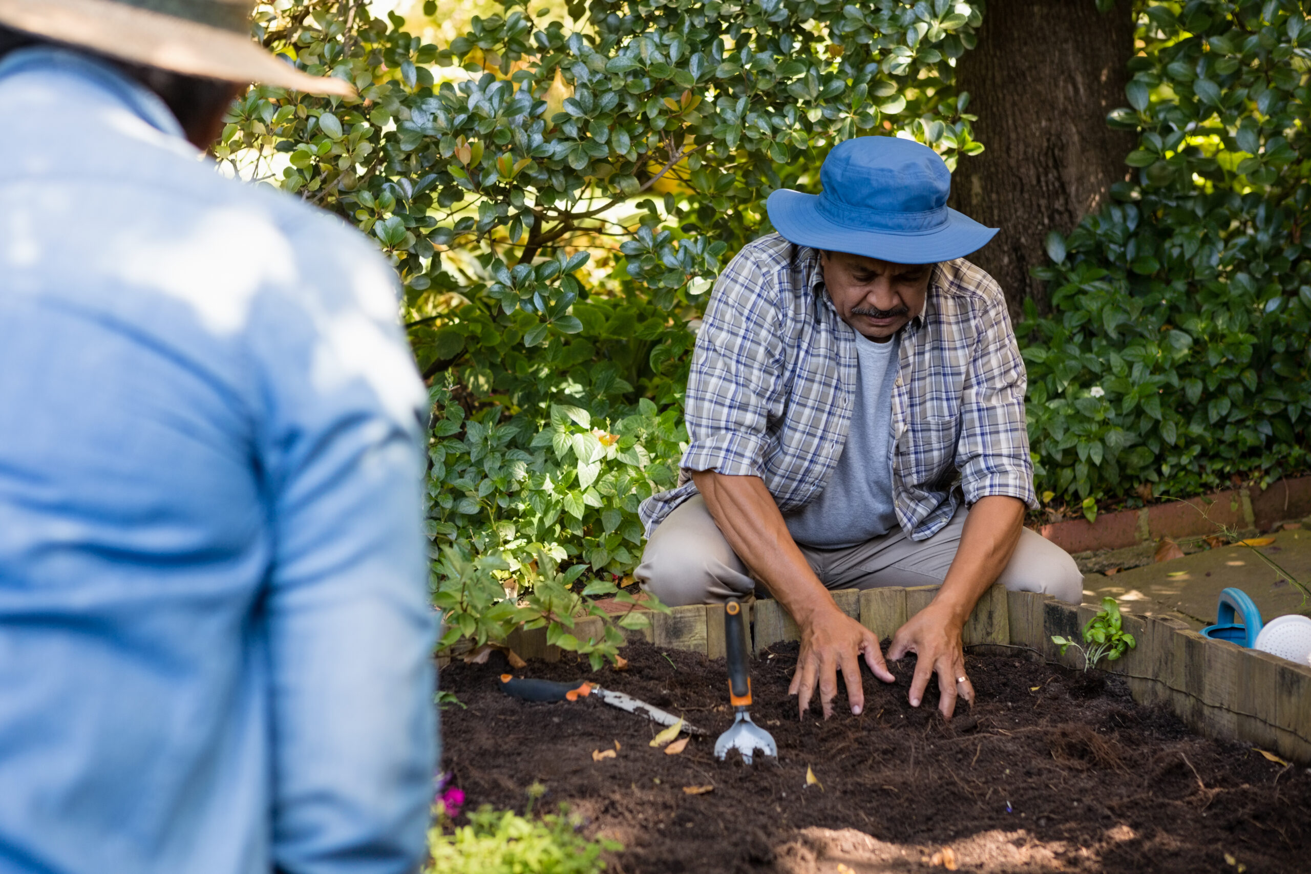 La culture des plantes aromatiques est relativement facile