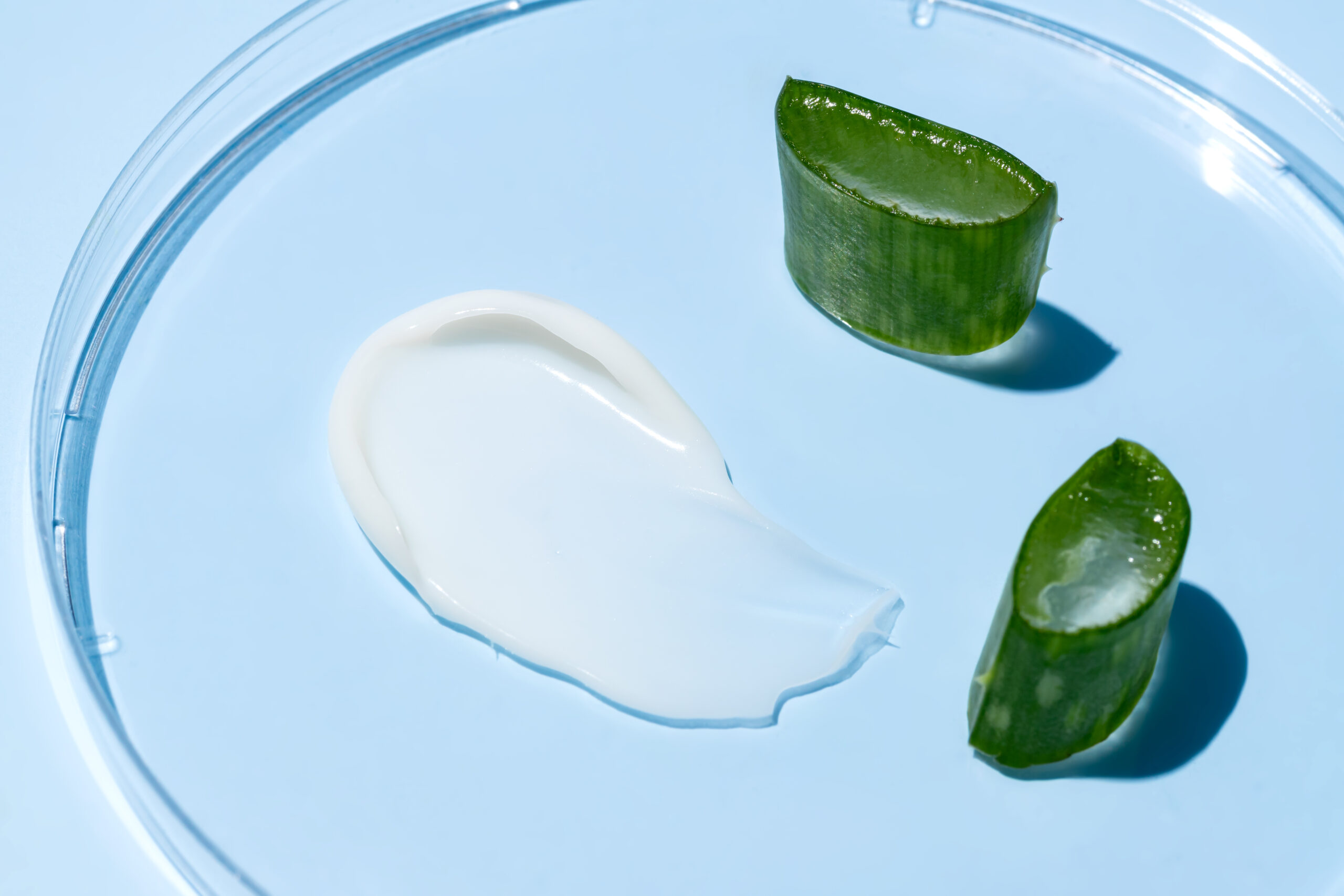 Bienfaits de l'Aloe Vera